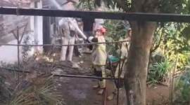 Petugas pemadam kebakaran sedang berupaya memadamkan api dari area belakang gerai Wizzmie Pekalongan yang terbakar, Sabtu (6/6/26). Foto : Istimewa