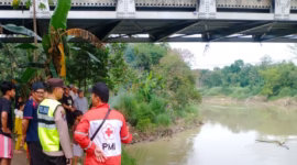 Upaya pencarian terhadap Hafiz Riski Alwafi (6), bocah yang diduga tenggelam di aliran Sungai Comal, Kabupaten Pemalang, masih belum membuahkan hasil hingga Sabtu (13/6/2026) sore. Foto : Istimewa