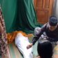 Korban dipatuk ular saat tidur bersama neneknya di ruang tengah rumahnya dimakamkan di pemakaman desa setempat, Minggu (5/7/26). Foto : Istimewa