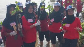 Siswa baru SMAN 1 Pekalongan memilih menanam mangrove untuk mengisi kegiatan MPLS, Jumat (17/7/26).