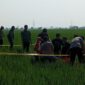Polisi memasang garis kuning di lokasi penemuan jenazah di areal pesawahan Desa Kalipancur, Selasa (28/7/26) pagi.