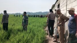 Di lokasi pesawahan inilah Rosyanto menekuni usaha ternak belut yang juga menjadi lokasi ditemukannya jenazah ayah empat orang anak, Selasa (28/7/26).