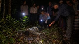 Jasad Munajat (79) warga Desa Tajur ditemukan tertelungkup di hutan masuk wilayah KPH Pekalongan Timur, Sabtu (1/8/26) petang.