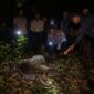 Jasad Munajat (79) warga Desa Tajur ditemukan tertelungkup di hutan masuk wilayah KPH Pekalongan Timur, Sabtu (1/8/26) petang.