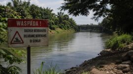 Sungai Comal kembali memakan korban seorang remaja yang ditemukan tenggelam usia bermain di lokasi, Minggu (2/8/26). Foto : Istimewa
