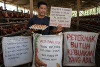 Peternak ayam petelur besok bakal melakukan aksi membagikan ayam kepada masyarakat di Alun-alun Batang sebagai bentuk protes terhadap kebijakan pemerintah terhadap penetapan HAP telur di tingkat kandang yang dinilai telah membunuh usaha di tengah harga pakan yang melambung tinggi dan harga jual telur di pasar yang anjlok, Minggu (9/8/26). Foto : Ilutrasi AI