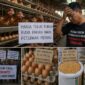 Tingginya harga pakan yang tidak sebanding ongkos produksi membuat ratusan peternak ayam di Kabupaten Batang bakal membuat aksi protes terhadap kebijakan pemerintah dengan membagikan ayam kepada masyarakat di Alun-alun setempat Senin 10 Agustus 2026. Foto : Ilustrasi AI