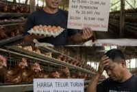 Peternak menilai harga SBM yang mengalami kenaikan tinggi menjadi salah satu pemicu potensi ambruknya usaha ayam petelur di Kabupaten Batang, Minggu (9/8/26). Foto : Ilustrasi AI