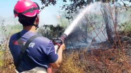Petugas Damkar Kota Pekalongan sedang memadamkan titik api dari kebakaran lahan, Minggu (9/8/26). Foto : Istimewa