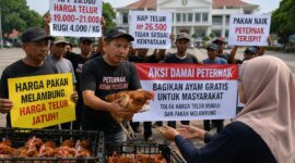 Ratusan peternak siap membagikan ayam petelur kepada masyarakat secara gratis di Alun-alun Kabupaten Pekalongan pada 10 Agustus besok sebagai respon terhadap kebijakan pemerintah yang merugikan dan mengancam kelangsungan usaha, Minggu (9/8/26). Foto : Ilustrasi AI