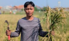 Kisah Zaenal Mutaqin, Gen Z Kota Pekalongan yang Pilih Jadi Petani Karena Keren
