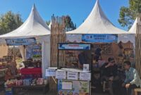 Diperkirakan perputaran uang di Dieng Culture Festival 2026 Kabupaten Banjarnegara tembus Rp50 miliar, Jumat (29/8/26). Foto: Istimewa