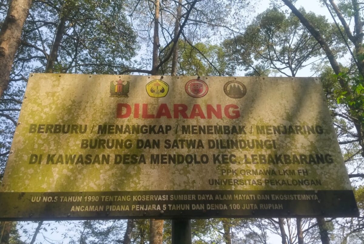 Papan larangan berburu satwa dipasang di kawasan Hutan Mendolo Lebakbarang, Rabu (2/9/26). Foto: Istimewa