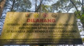 Papan larangan berburu satwa dipasang di kawasan Hutan Mendolo Lebakbarang, Rabu (2/9/26). Foto: Istimewa