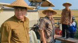 Plt Bupati Pemalang Nurkholes saat mendampingi Gubernur Jawa Tengah Ahmad Lutfi saat menjajal mesin panen padi di lahan sawah Desa Kedungbanjar, Kamis (3/9/26).