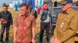 Gubernur Jawa Tengah Ahmad Luthfi bersama Kepala Distannak Defransisco Dasilva Tavares saat panen padi di lahan sawah Desa Kedungbanjar, Kamis (3/9/26).