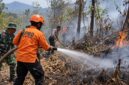 Petugas gabungan memadamkan api yang membakar lahan dan hutan, Rabu (9/9/26). Foto: Ilustrasi AI