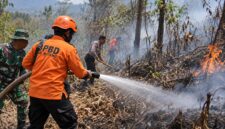 Petugas gabungan memadamkan api yang membakar lahan dan hutan, Rabu (9/9/26). Foto: Ilustrasi AI