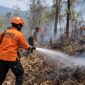 Petugas gabungan memadamkan api yang membakar lahan dan hutan, Rabu (9/9/26). Foto: Ilustrasi AI