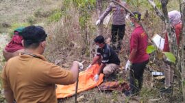 Polisi mengevakuasi jenasah orang tidak dikenal di lahan Perhutani Kesesi, Jumat (11/9/26).