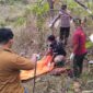 Polisi mengevakuasi jenasah orang tidak dikenal di lahan Perhutani Kesesi, Jumat (11/9/26).