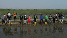 Kolaborasi PLTU Batang dan DLHK Jawa Tengah menanam 1.300 bibit mangrove di Desa Denasri Kulon, Kamis (15/10/26). Foto: Istumewa