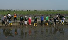 BPI dan DLHK Jateng Tanam 1.300 Bibit Mangrove di Batang
